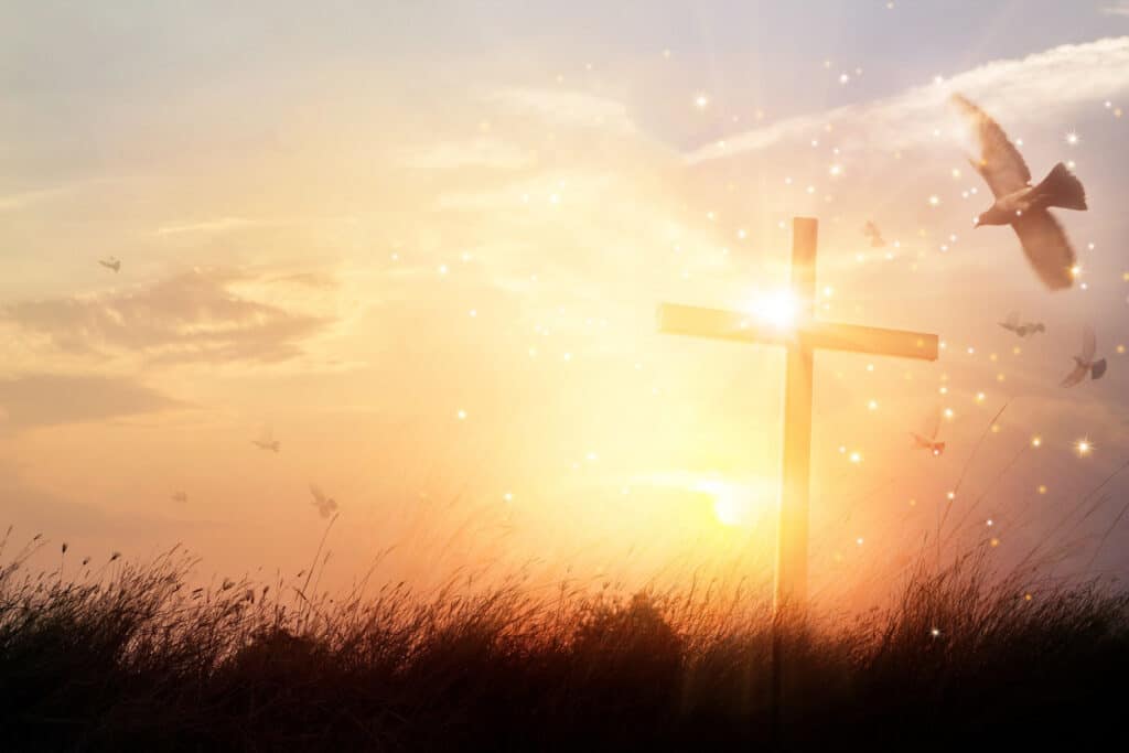 iStock 1023227352