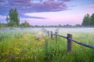 stillness